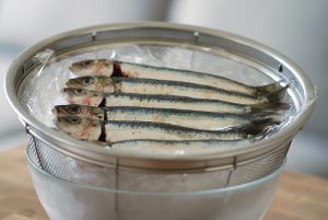 Sardines!