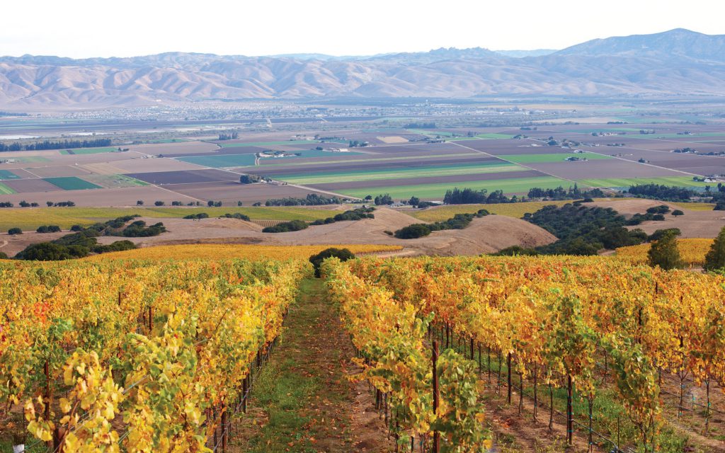 Hahn Vineyards