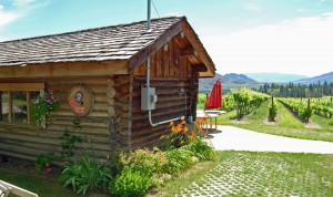 FairviewCellarsWineShop