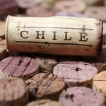 Chile-wine-cork