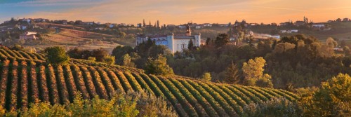 Banner (2)