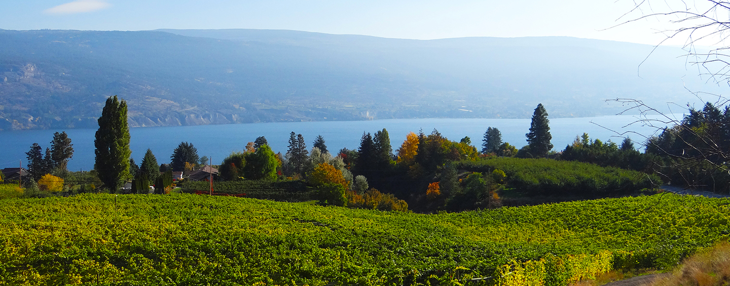 Switchback – Mulligan Stew