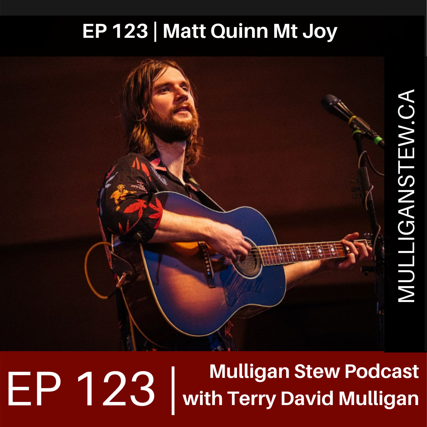 EP 123 Matt Quinn of Mt Joy Mulligan Stew